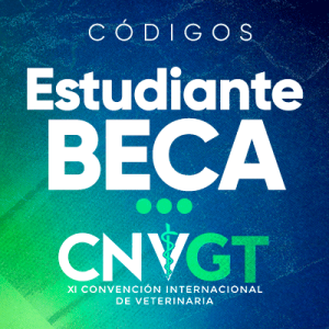 Entrada CNVGT 2026 La Gran Lucha  | Estudiante BECA