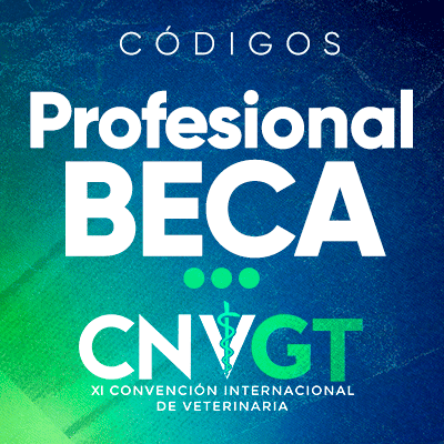 profesional-BECA-2026