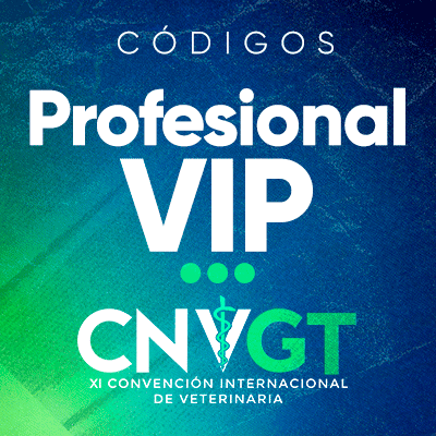 profesional-vip-2026