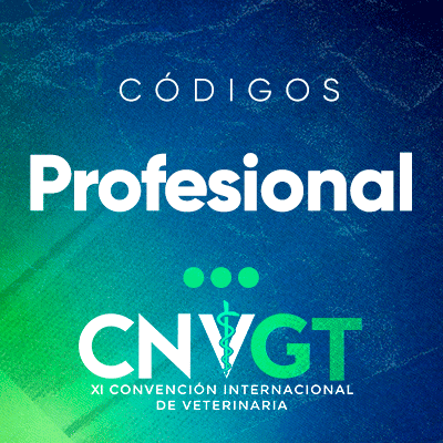 Profesional-2026
